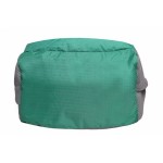 Aqsa ALB54 Stylish Laptop Bag (Green and Grey)